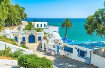 Private tour: Medina,Carthage ,Sidi Bou Said, Bardo Museum+lunch