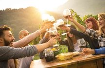 Istria private day tour from Rovinj 