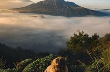 Mount Batur Sunrise Trekking With Guide 