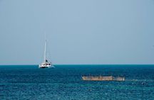 Whale Watching in Trincomalee by Catamaran cruise