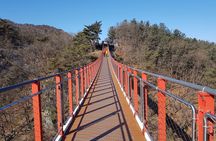 Premium Private DMZ Tour & (Suspension Bridge or N-Tower) include lunch