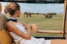 Dambulla to Trincomalee Shuttle & Safari Drive