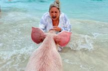 Swimming Pigs with pickup: Pigs can't fly, but they do Swim! 