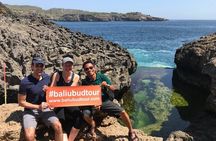 Private Nusa Penida West Trip