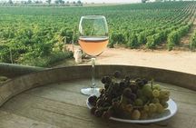Winery and Pamukkale Sunset Tour