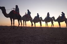 Sunset Dinner & Camel Ride in Agafay desert 
