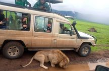 4 Days /3 nights Tarangire, Serengeti and Ngorongoro crater 