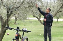 E Bike Tour with wine and olive oil tasting in Vodnjan