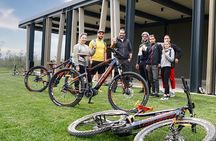 E Bike Tour with wine and olive oil tasting in Vodnjan