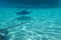 Private Boat Tour in Cayman Islands 