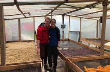 Coffee Farm and Salento Walking Tour