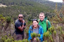 Kilimanjaro 1 Day Hike