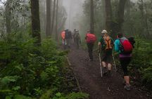 Kilimanjaro 1 Day Hike