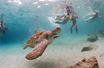 Exclusive 4-Hour Private nature Tour: West Curacao's Best