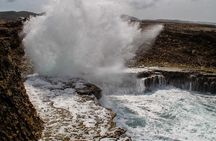 Exclusive 4-Hour Private nature Tour: West Curacao's Best