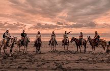 Jaco Beach Costa Rica Horseback Riding