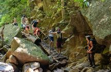 Trek to a Jungle Waterfall