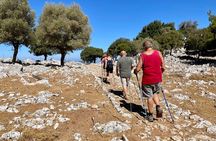 Small Group Hiking from Salakos to Profitis Ilias