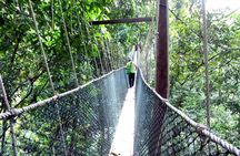 Taman Negara Day Tour with Canopy Walk