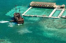 Pirates of the Caribbean Cruise- Snorkel, Sharks & Stingrays
