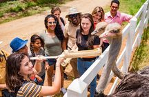 Xploration Animal Encounters Half Day Tour from Punta Cana