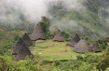3-Day Group Adventure : Wae Rebo Village & Early Bird Komodo Tour