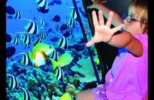 Semi Submarine (Sea Trip) 2 Hours With Transfer - Sharm El Sheikh