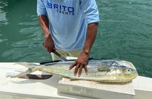 Fishing And Eating Straight From The Sea ( SAONA ISLAND AND PALMILLA)