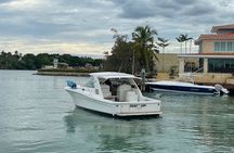 Private Yacht Tours To Isla Saona, Natural Pool Palmilla And Snorkeling.