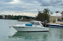 Private Yacht Tours To Isla Saona, Natural Pool Palmilla And Snorkeling.