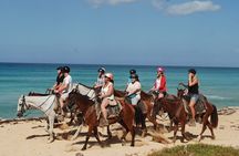 7-Day Adventure Tour in Punta Cana with Pickup