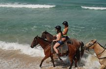 7-Day Adventure Tour in Punta Cana with Pickup