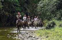 7-Day Adventure Tour in Punta Cana with Pickup