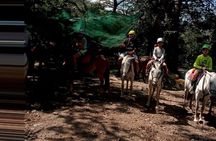 Horseback Riding Tours on the beach, mountain