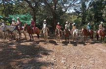 Horseback Riding Tours on the beach, mountain