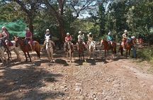 Horseback Riding Tours on the beach, mountain
