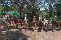 Horseback Riding Tours on the beach, mountain