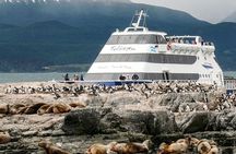 Navigation to Beagle Channel and Sea Lions Island with Transfers
