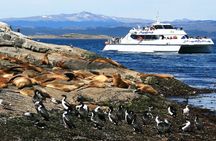 Explore the Beagle Channel: Navigate and Trek the Bridges Islands