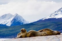 Explore the Beagle Channel: Navigate and Trek the Bridges Islands