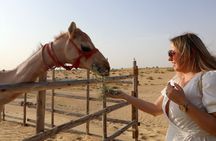Dubai Evening Heritage Safari by Vintage G Class Al Marmoom Oasis