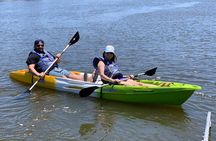 Napa Valley River History Kayak Tour: 2 Person Tandem 