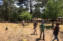 Hiking on Rhodes countryside. Discover the flora, fauna, history, tradition