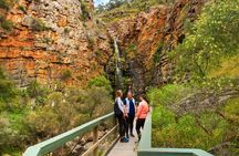 Morialta Wilderness and Wildlife Hike