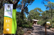 Cleland Wildlife Park Experience - from Adelaide including Mt Lofty Summit