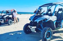 Sandboard and Quad Bike Adventure in Lancelin