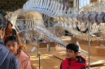 Washington DC Museum of Natural History Private Family tour