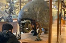 Washington DC Museum of Natural History Private Family tour