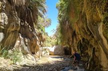 Wadi Hora and Wadi Bin Hammad Canyoning Adventure