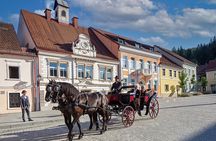 Fly into the tannery of Europe
